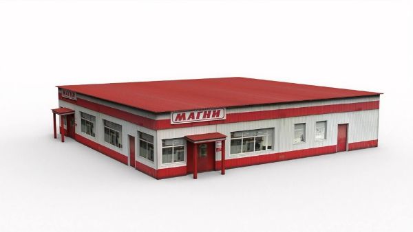 Russian Store Magnit 3D model